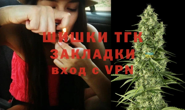 МДПВ Богородицк