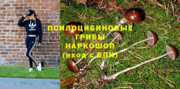 jwh Богданович