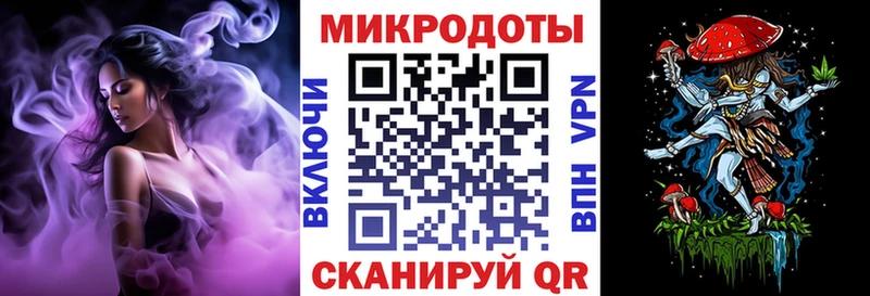 Псилоцибиновые грибы Psilocybe  Кедровый 